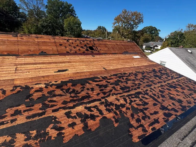 Golden Hammer Roofing & Chimney roofing project
