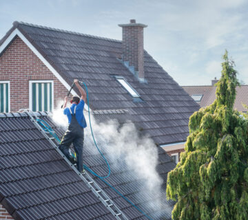 Professional Roof Soft Washing